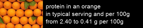 protein in an orange information and values per serving and 100g